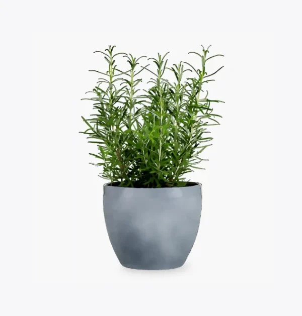 product-image-5_optimized Test app Chats