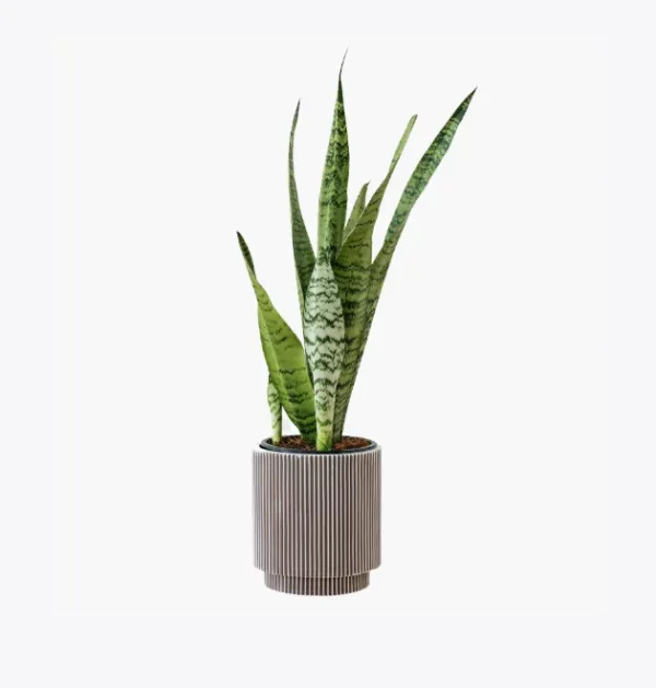 product-image-6_optimized Test app Chats